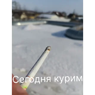 Стикер легенда  | via @StickedApp_bot - 4