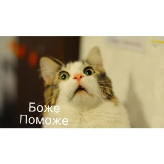 Стикер легенда  | via @StickedApp_bot - 6