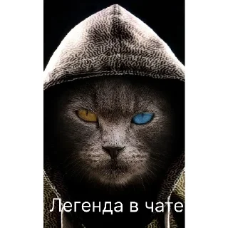 Стикер легенда  | via @StickedApp_bot - 0