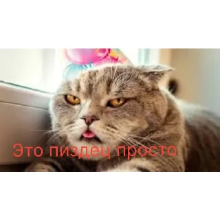 Стикер легенда  | via @StickedApp_bot - 8