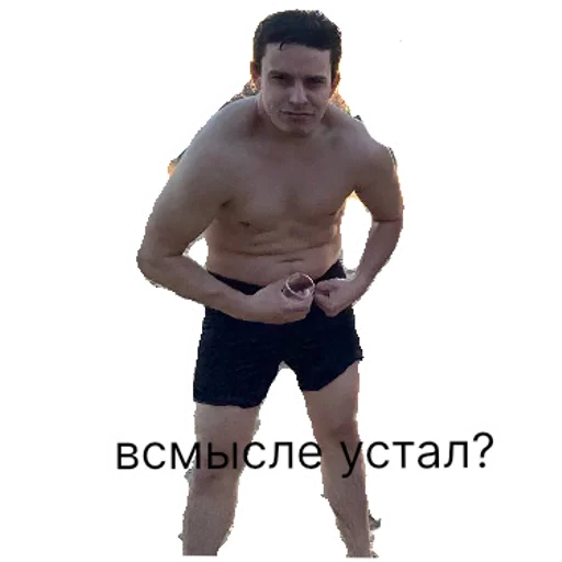 Стикер staff loshka  | via sticked.app - 8