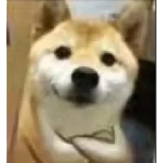 Sticker 😀 | via sticked.app - 2