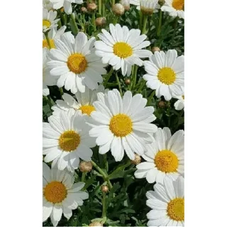 Стикер ночь | via sticked.app - 10