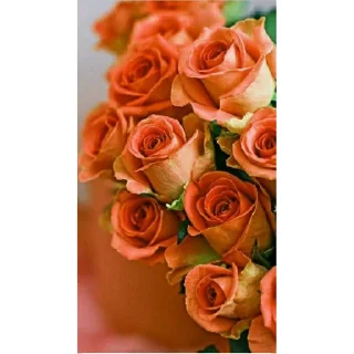 Стикер ночь | via sticked.app - 11