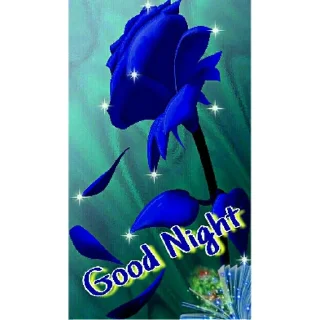 Стикер НОЧЬ🕷🖤 | via sticked.app - 7