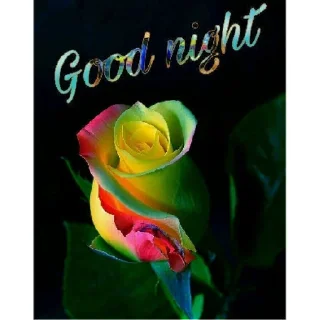 Стикер НОЧЬ🕷🖤 | via sticked.app - 3