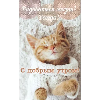 Стикер @tttwvila ДВИЖ@НОЧЬ | via sticked.app - 4