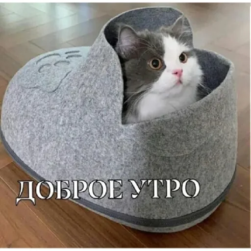 Стикер @tttwvila ДВИЖ@НОЧЬ | via sticked.app - 1