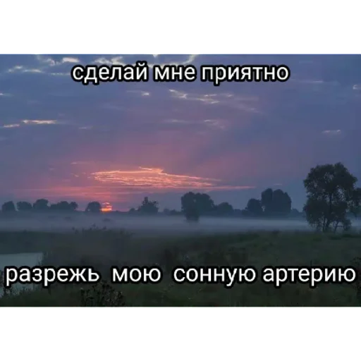 Sticker sticked_788937779_11_by_StickedApp_bot - 1