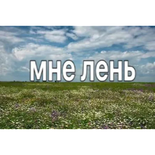 пися попа | via sticked.app - 