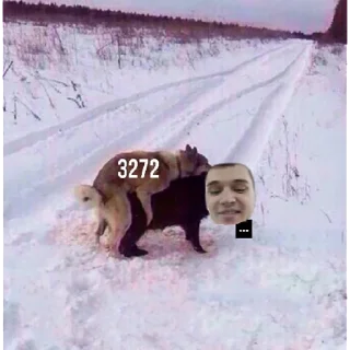 Sticker должность? -каптер  | via sticked.app - 1