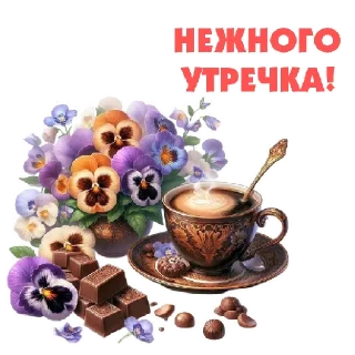 Sticker @Promodar_bot (Промокоды)  | via @StickedApp_bot - 8