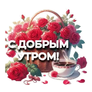 Sticker @Promodar_bot (Промокоды)  | via @StickedApp_bot - 11
