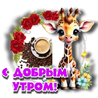 Стикер @Promodar_bot (Промокоды)  | via @StickedApp_bot - 6