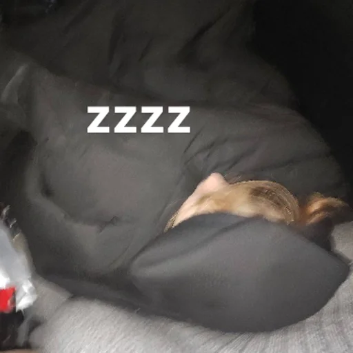 Sticker sticked_865067437_7_by_StickedApp_bot - 1