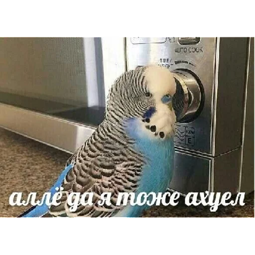 Sticker sticked_902174309_11_by_StickedApp_bot - 1