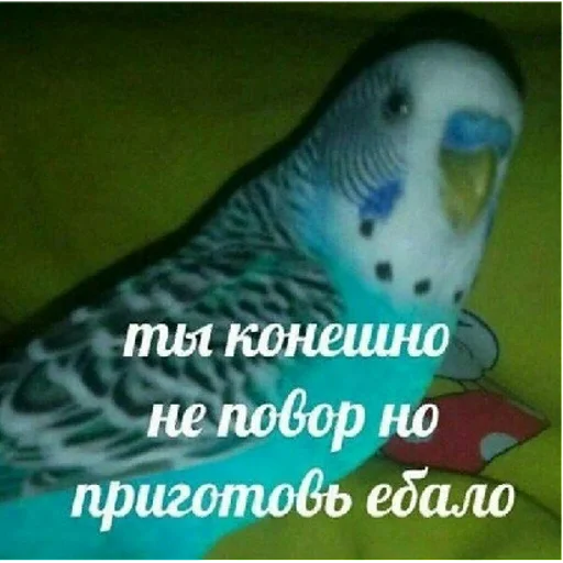 Стикер sticked_902174309_11_by_StickedApp_bot - 1