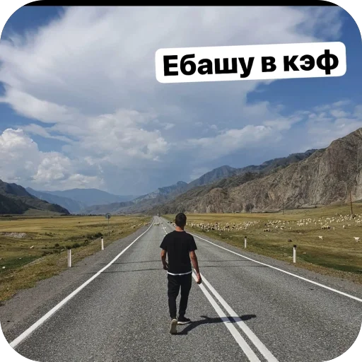 Sticker sticked_914619826_1_by_stickedapp_bot - 1