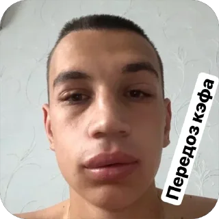 Sticker курррр | via @StickedApp_bot - 5