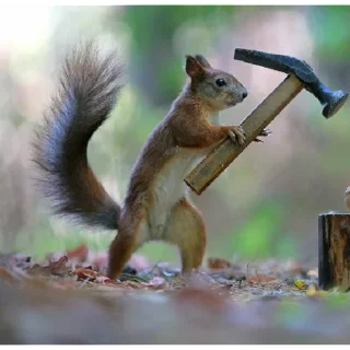 Sticker для наших🇷🇺 | via sticked.app - 1