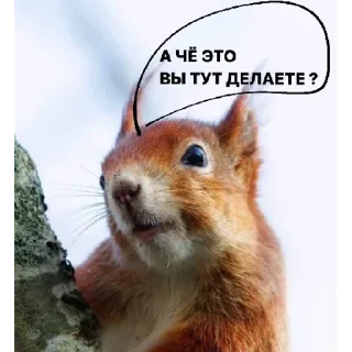 Sticker для наших🇷🇺 | via sticked.app - 8