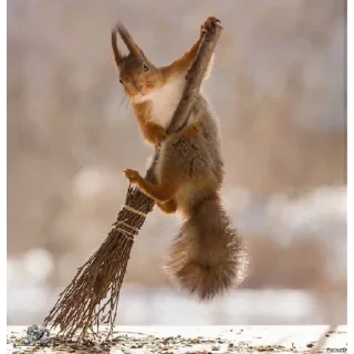 Sticker для наших🇷🇺 | via sticked.app - 4