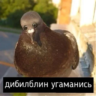 Стикер LilMem | via sticked.app - 4