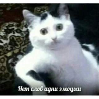 Стикер LilMem | via sticked.app - 10