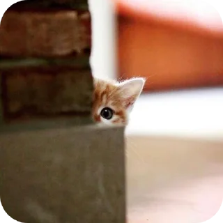 Sticker stress | via @StickedApp_bot - 1