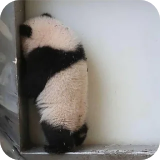 Sticker stress | via @StickedApp_bot - 3