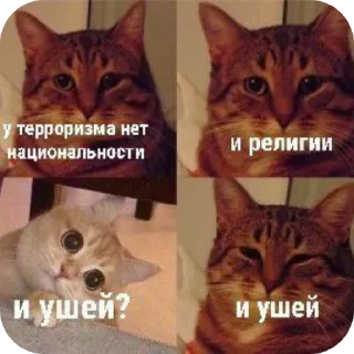 Sticker stress | via @StickedApp_bot - 0