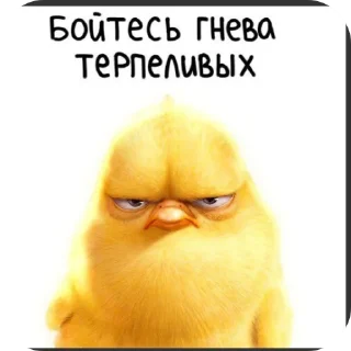 Sticker stress | via @StickedApp_bot - 5