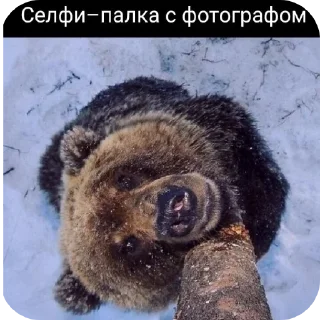 Sticker stress | via @StickedApp_bot - 2