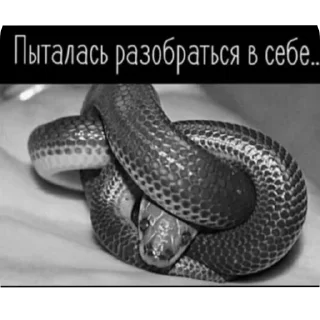 Sticker stress | via @StickedApp_bot - 4