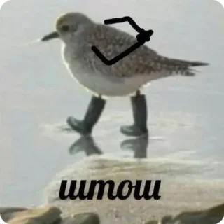 Стикер избранные | via @StickedApp_bot - 8