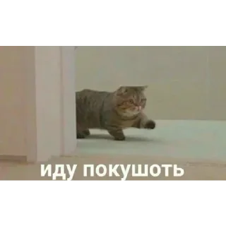 Стикер избранные | via @StickedApp_bot - 2