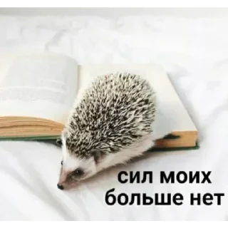 Стикер избранные | via @StickedApp_bot - 3