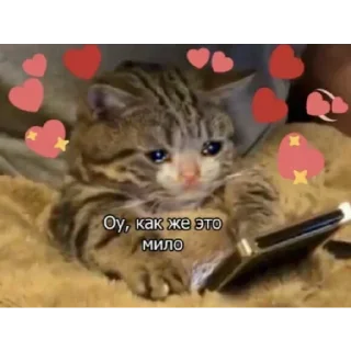 Стикер избранные | via @StickedApp_bot - 6