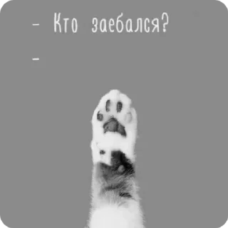 Стикер избранные | via @StickedApp_bot - 5