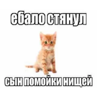 Стикер блинущка | via sticked.app - 5