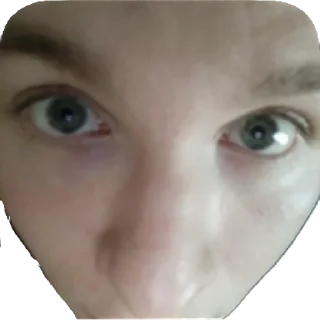 Стикер white trash | via sticked.app - 6