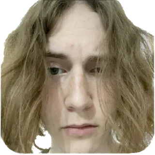 Стикер white trash | via sticked.app - 2