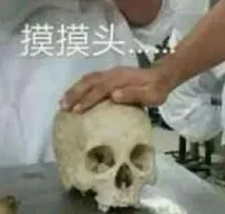 Sticker tiger 的贴纸包（0） - 7