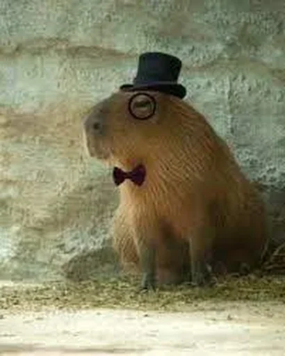 Sticker sticker_01037551_by_moe_sticker_bot - 1