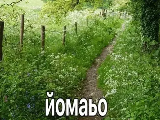 Sticker sticker_55940426_by_moe_sticker_bot - 1