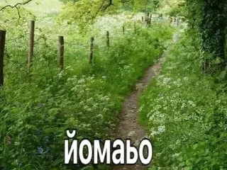 Стикер как же @drowndreams - 1