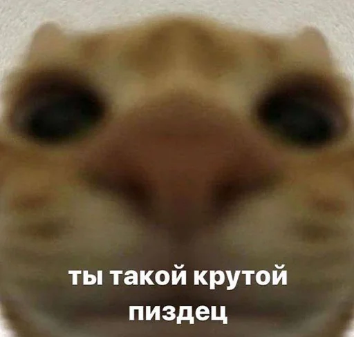 Стикер sticker_71575676_by_moe_sticker_bot - 1