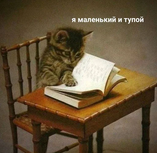 Sticker sticker_71575676_by_moe_sticker_bot - 1