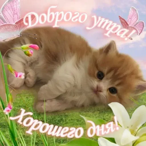 Sticker sticker_71575676_by_moe_sticker_bot - 1