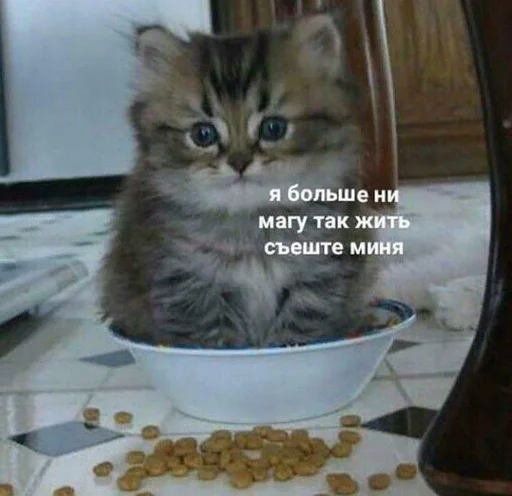 Sticker sticker_71575676_by_moe_sticker_bot - 1